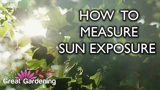 How to Measure Sun Exposure In Your Garden