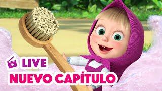  LIVE  Masha y el Oso  NUEVO CAPÍTULO  El poder del baño  Masha and the Bear