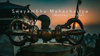 Walking Around the Swayambhunath Stupa - Kathmandu Monkey Temple /DJI Osmo Action 5 Pro