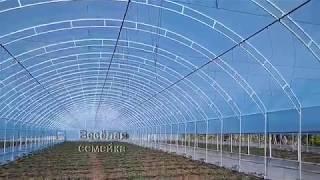 Как подвязывать помидоры.  Новый способ