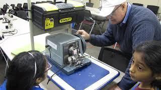 Using 5 microns microtome