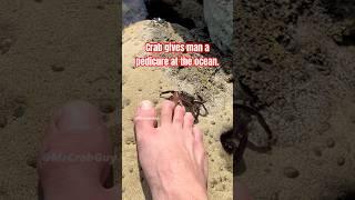 Crab gives man a PEDICURE at the ocean