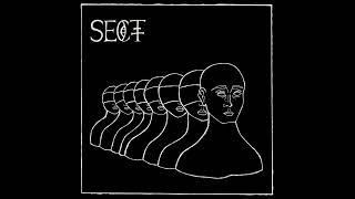 Sect "s/t" (Full 12" LP)