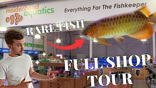 MAIDENHEAD AQUATICS FARNHAM | SHOP TOUR