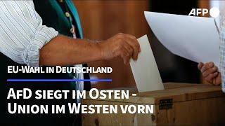 Europawahl in Deutschland: AfD siegt im Osten, Union im Westen | AFP