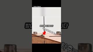 영화보다 더 리얼한 저격수의 실력 ㄷㄷ