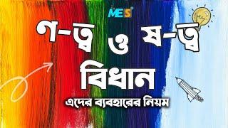 ণ ত্ব বিধান ও ষ ত্ব বিধান কি ? এদের ব্যবহারের নিয়ম l বাংলা ২য় পত্র l MohiuddinEduSpotBD