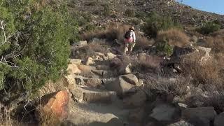 hiking Ryan Mountain in Joshua Tree National Park