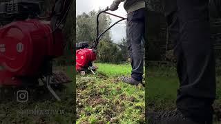 Power tiller tilling machine - new turfgrass project #giardinaggio #prato #tappetoerboso