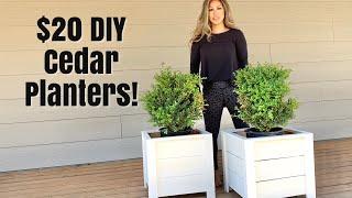 Easy Build DIY Planter Box