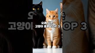 오래 사는 고양이 TOP3. 장수하는 고양이 종류. Shorts.