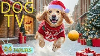 DOG TV CHRISTMAS: Best Christmas Videos for Dogs - Peaceful Videos & Gentle Music to Keep Dogs Relax