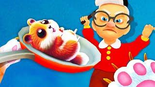 Torturing Granny's Pet Hampster... (Cat From Hell)