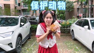 可以不爱请别伤害～【硬核妈妈丽洁】