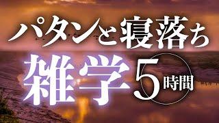 【睡眠導入】パタンと寝落ち雑学5時間【合成音声】