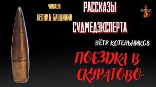 Рассказы Судмедэксперта: ПОЕЗДКА  В  СКУРАТОВО (автор: Пётр Котельников).