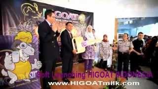 SOFT LAUNCHING HIGOAT INDONESIA