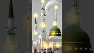 kalicherla dhargha sharif short videos #alibhai