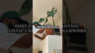 Are you plants leaves turning YELLOW!? WATCH THIS! #houseplants