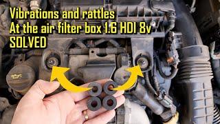 1.6 HDI 8v - Vibrations and rattles at the air filter box