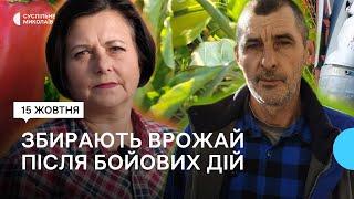 На Миколаївщині родина фермерів в умовах війни веде сільське господарство