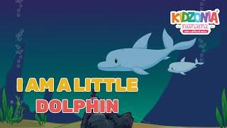 I Am a Little Dolphin || Dolphin Delight || Nursery Rhymes || English Rhymes