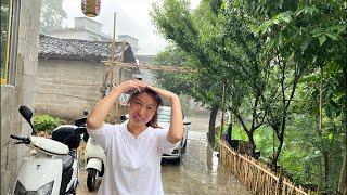 下了一夜的雨，什么都做不了，大家一起来听雨声