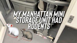 My Manhattan Mini Storage Unit Had Rodents   