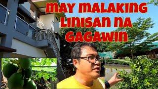 Ang saya ng mga tanim, sa wakas umaraw na | May malaking papaya na pala