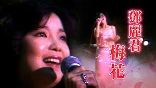 感動落淚！鄧麗君真情演唱〈梅花〉｜鄧麗君專輯 Teresa Teng テレサ・テン