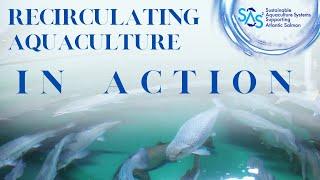 Showing a Recirculating Aquaculture System in Action