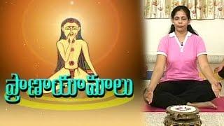 Pranayama Yoga | The Art of Yoga Breathing | Beauty Spot | Vanitha TV