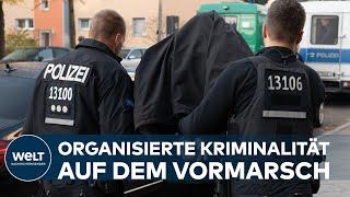 ORGANISIERTE KRIMINALITÄT: Lagebild - Brutalität von kriminellen Banden nimmt zu