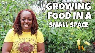 Growing Food in a Small Space