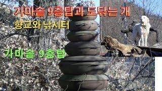 가마솥9층탑과 도닦는 개, 향교,낚시터