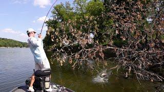 Fishing Into Fall Transition || Find and Fish Laydowns