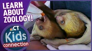 What's It Like To Be A Zoologist | NBC Connecticut Kids Connection