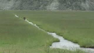 Wyoming Water Rights