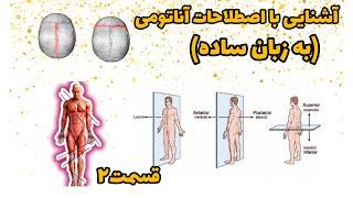 آناتومی(به زبان ساده) پلان های آناتومی، مدیال/لترال، اینفریور/سوپریور و...