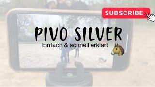 PIVO SILVER - Einfache Erklärung 