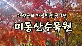 대전근교 가볼만한곳 '미동산휴양림'