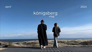 КАЛИНИНГРАД vlog 2024: Светлогорск, Зеленоградск, Балтийск, Куршская коса