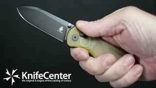 Kizer Cutlery Vanguard Azo Drop Bear Clutch Lock Folding Knife