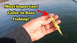 The Single Most Important Color In Bass Fishing!