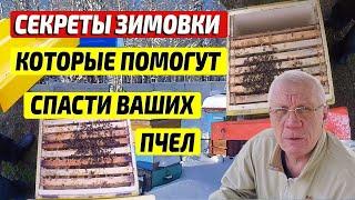 Пчелы зимой. Секреты зимнего пчеловодства, которые помогут спасти ваших пчел.