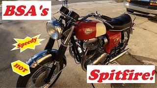 BSA's 1966 MKII SPITFIRE, A Cafe Streetfighter?