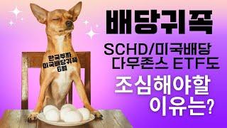 SCHD,미국배당다우존스,배당귀족 펀드/ETF 조심해야할 이유는?