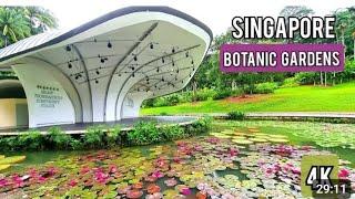 Botanic Gardens. Singapore  . walking tour Singapore botanic Gardens.