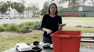 ways to save: thrifty gardening (containers)