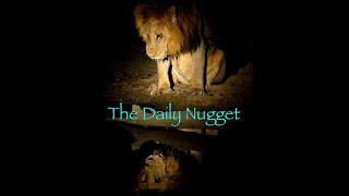 The Daily Nugget 2:20:2021